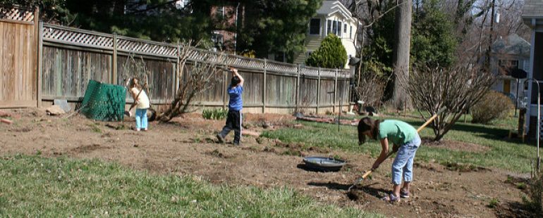 Spring Cleaning: Yard Maintenance
