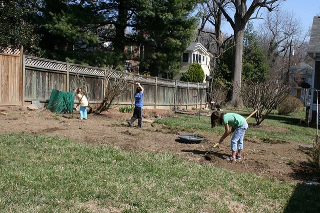 Spring Cleaning in the backyard.